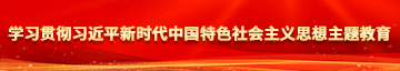 少妇谢精wwww.学习贯彻习近平新时代中国特色社会主义思想主题教育